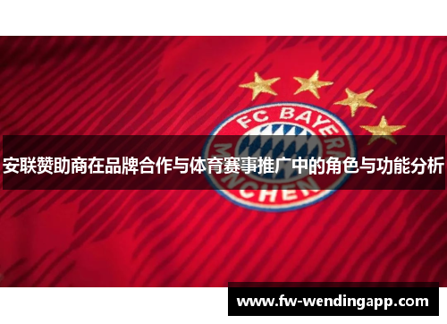 安联赞助商在品牌合作与体育赛事推广中的角色与功能分析