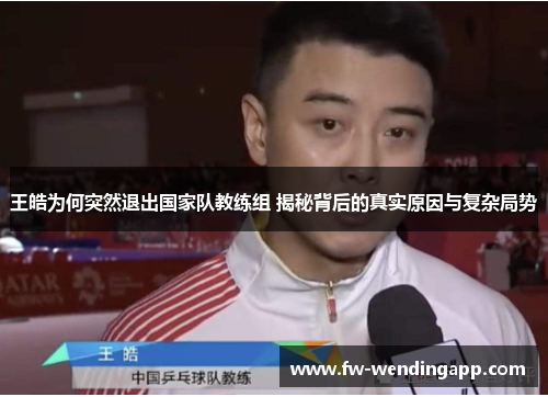 王皓为何突然退出国家队教练组 揭秘背后的真实原因与复杂局势