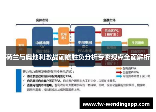 荷兰与奥地利激战前瞻胜负分析专家观点全面解析