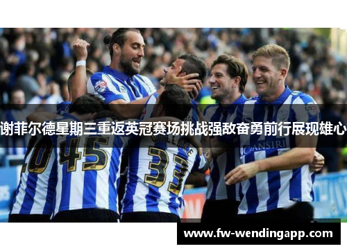 谢菲尔德星期三重返英冠赛场挑战强敌奋勇前行展现雄心