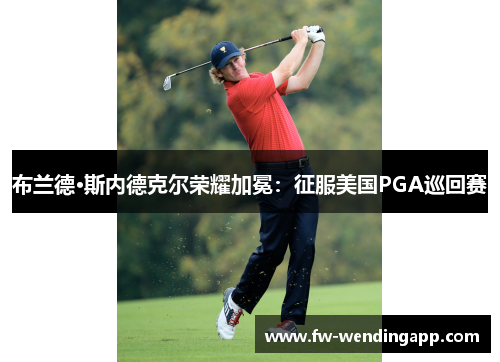 布兰德·斯内德克尔荣耀加冕：征服美国PGA巡回赛